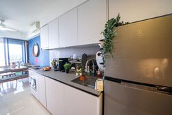Sims Urban Oasis (D14), Condominium #535021841